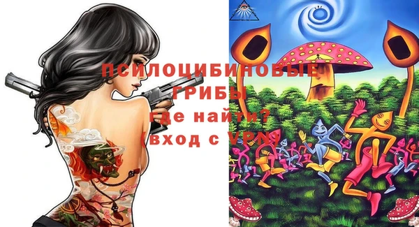 молекула духа Верхний Тагил