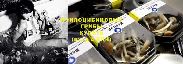 молекула духа Верхний Тагил